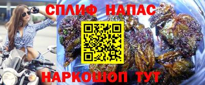 мяу мяу мука Бугуруслан
