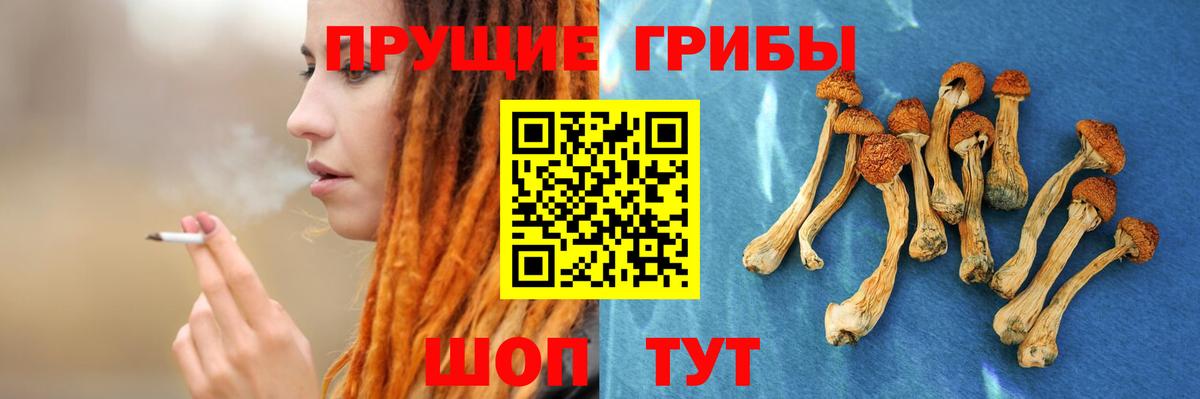 Псилоцибиновые грибы мухоморы Видное